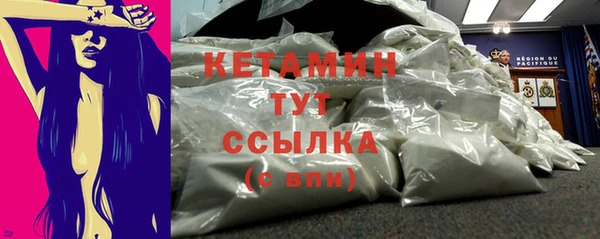 соль ск Дмитриев