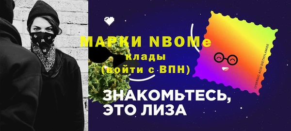 соль ск Дмитриев