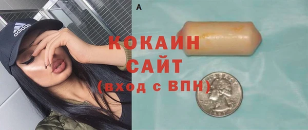 соль ск Дмитриев