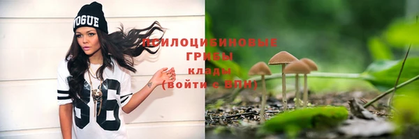 экстази Дмитровск