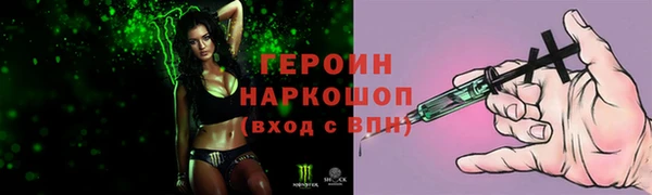 соль ск Дмитриев