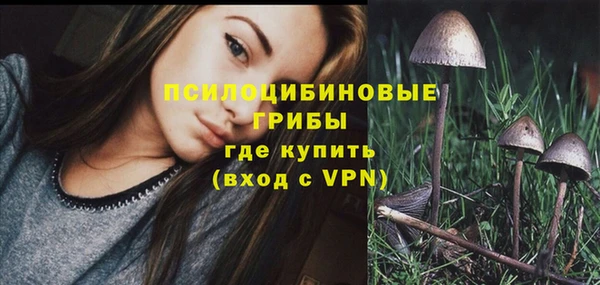 синтетический гашиш Ельня