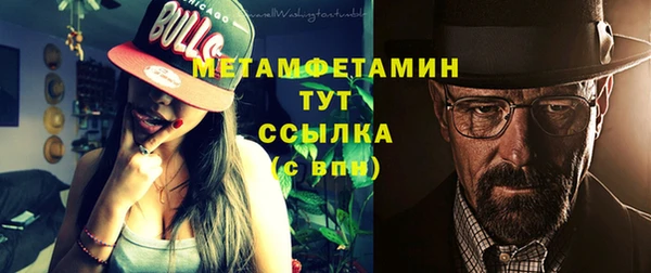 соль ск Дмитриев