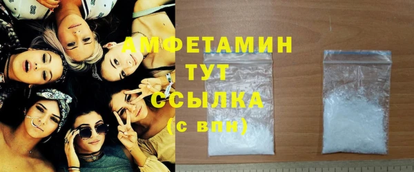 соль ск Дмитриев